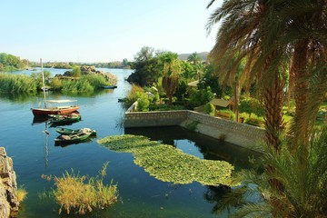 Île Kitchener (Egypte)