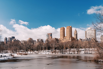 Fototapeta premium The frozen lake in the Central Park