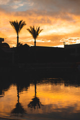 Obraz premium Dramatic Sunset with silhuettes palm and reflection in swimming pool