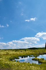Hohes Venn, Nordeifel, Naturschutzgebiet