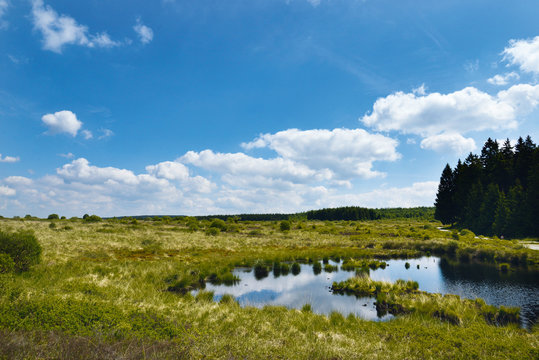 Hohes Venn, Nordeifel, Naturschutzgebiet