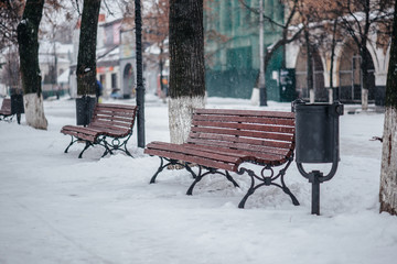 bench in the park