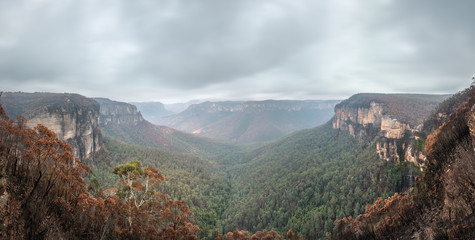 Devastating bushfires were engulfing the Grose Valley at Blackheath in Blue Mountains National...