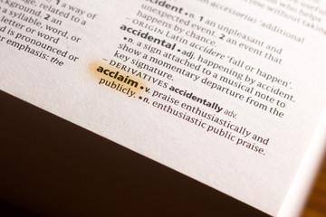 The word or phrase Acclaim in a dictionary.
