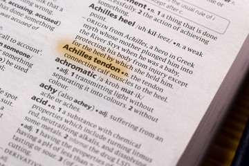 The word or phrase Achilles Tendon in a dictionary.