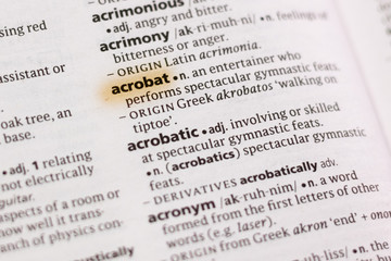 The word or phrase Acrobat in a dictionary.