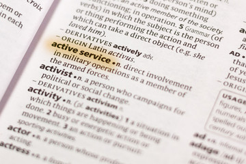 The word or phrase Active Service in a dictionary.