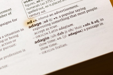 The word or phrase Ad in a dictionary.