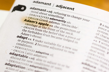The word or phrase Adam's Apple in a dictionary.