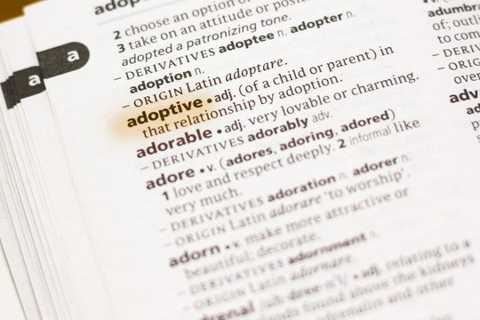 The word or phrase Adoptive in a dictionary.