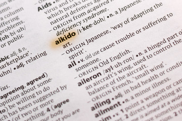The word or phrase Aikido in a dictionary.