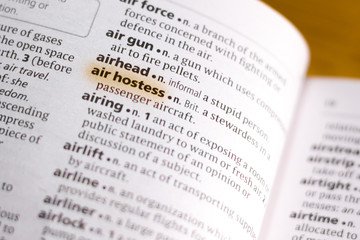 The word or phrase Air Hostess in a dictionary.