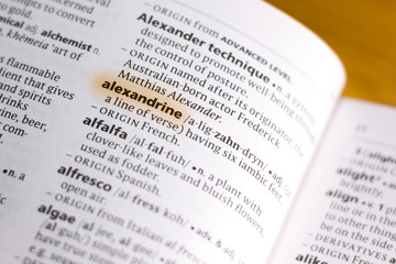 The word or phrase Alexandrine in a dictionary.