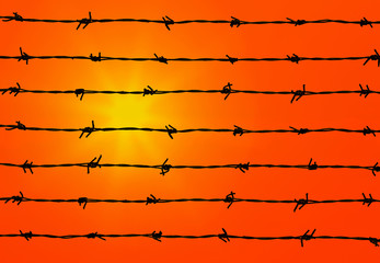 Silhouette of barbed wire.