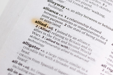 The word or phrase Allied in a dictionary.