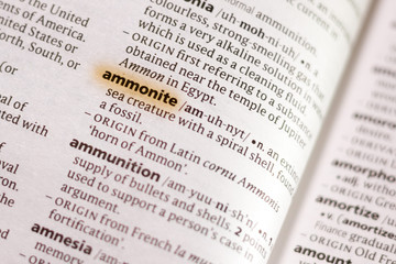 The word or phrase Ammonite in a dictionary.