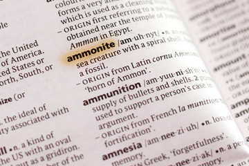 The word or phrase Ammonite in a dictionary.