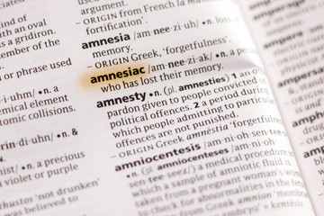 The word or phrase Amnesiac in a dictionary.