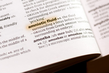 The word or phrase Amniotic Fluid in a dictionary.