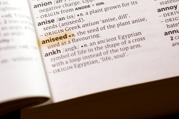 The word or phrase Aniseed in a dictionary.