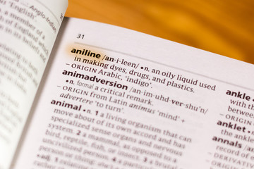 Fototapeta premium The word or phrase Anline in a dictionary.