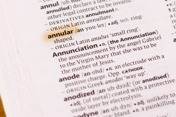 The word or phrase Annular in a dictionary.