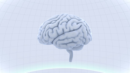 Brain head human mental idea mind 3D illustration background