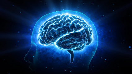 Brain head human mental idea mind 3D illustration background