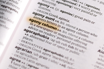 Naklejka premium Ivanovsk, Russia - November 19, 2018: The word or phrase Agony Column in a dictionary.