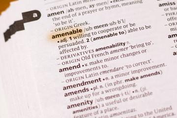 Ivanovsk, Russia - November 19, 2018: The word or phrase Amenable in a dictionary.
