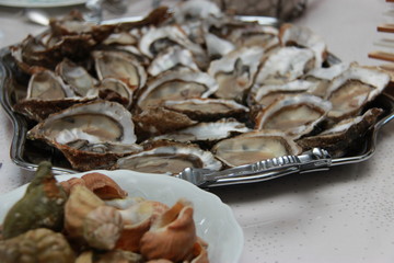 Plateau d'huîtres