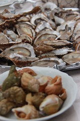 Plateau d'huîtres