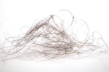 Close up hairs loss fall isolate on white background.