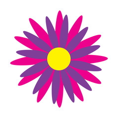 Abstract multicolored flower isolated on white background Flat design style