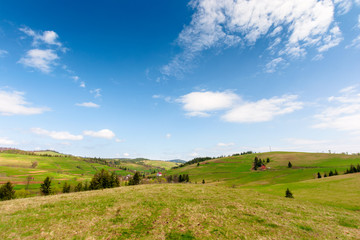 Fototapeta na wymiar rolling hills of carpathian countryside in spring. beautiful rural landscape of ukraine. green grassy meadows and fluffy clouds on the blue sky