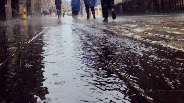 Rainy Day 