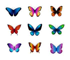 Collection of colorful vector butterflies