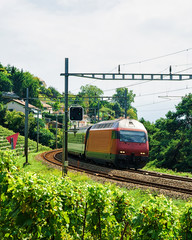 Naklejka premium Running train and the railroad in Lavaux Vineyard Terrace hiking trail, Lavaux-Oron district, Switzerland