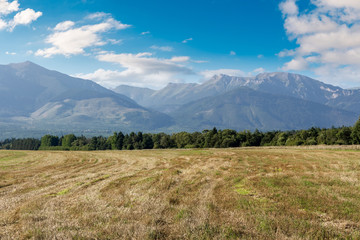 Fototapeta premium rural landscape of slovakia in summer. empty wheat field in august. high tatras mountain ridge in the distance. sunny weather with clouds on the sky