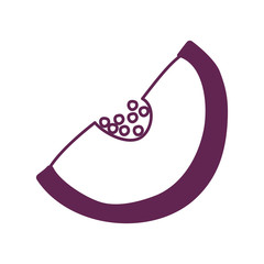 fresh tomato half vegetable icon