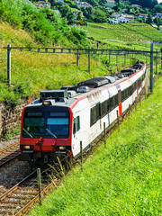 Naklejka premium Swiss running train at Vineyard Terraces hiking trail of Lavaux, Lavaux-Oron district in Switzerland