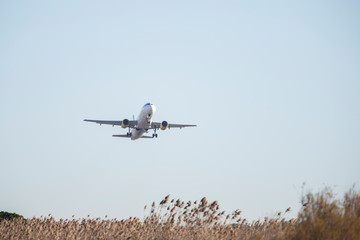 Fototapeta na wymiar Plane taking off from the airport.