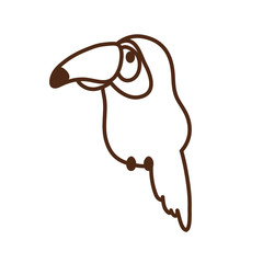 cute toucan bird animal character