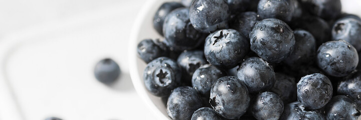 Blueberries in a white bowl on a light background. Banner