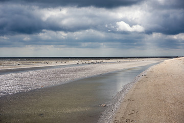 Fototapeta na wymiar beach in North Jutland, Denmark