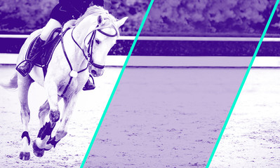 Horse and rider, black and white banner or header, billboard, duo tone. Beautiful white horse...