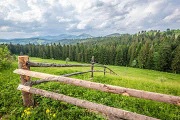 Bewitching beautiful summer landscape of green meadows