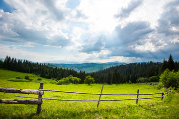 Fototapeta premium Beautiful scenic view of green meadows of green meadows