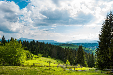 Beautiful scenic view of green meadows of green meadows