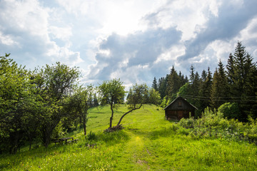 Obraz premium Bewitching beautiful summer landscape